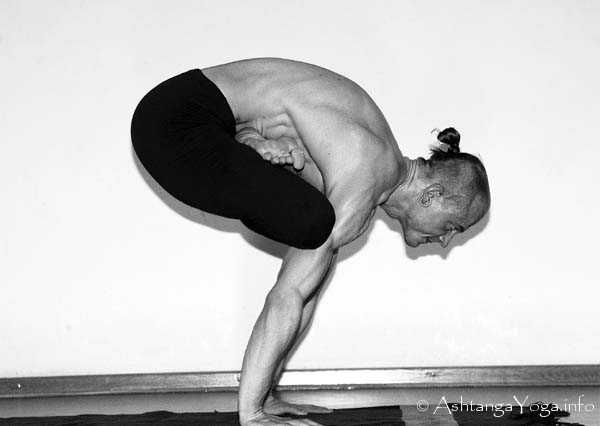 Urdhva Kukkutasana A - Ashtanga Vinyasa Yoga transcends gravity in Advanced A Series (Sthira Bhaga). 