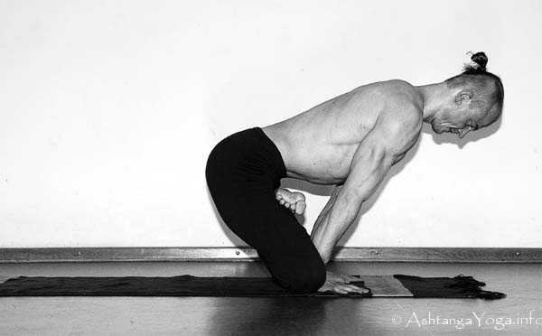 Urdhva Kukkutasana C Vinyasa in - Ashtanga Vinyasa Yoga transcends gravity in Advanced A Series (Sthira Bhaga). 