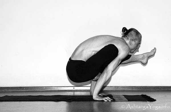 Eka Pada Bakasana B - Ashtanga Vinyasa Yoga transcends gravity in Advanced A Series (Sthira Bhaga). 