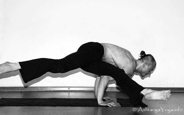 Koundinyasana B - Ashtanga Vinyasa Yoga transcends gravity in Advanced A Series (Sthira Bhaga). 