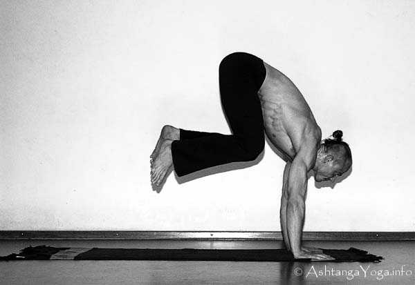 Astavakrasana B Vinyasa in - Ashtanga Vinyasa Yoga transcends gravity in Advanced A Series (Sthira Bhaga). 
