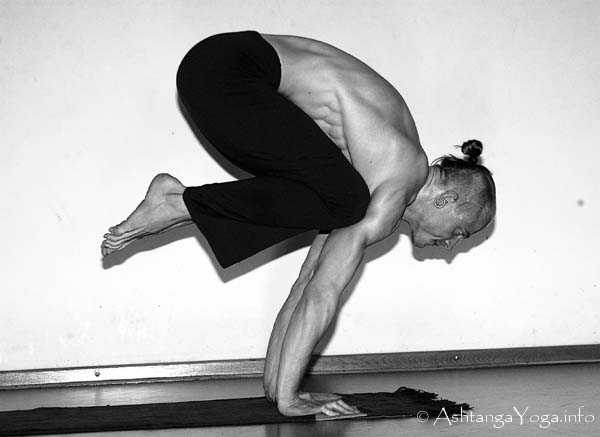 Bakasana - Ashtanga Vinyasa Yoga transcends gravity in Advanced A Series (Sthira Bhaga). 