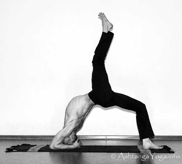 Eka Pada Viparita Dandasana - Ashtanga Vinyasa Yoga transcends gravity in Advanced A Series (Sthira Bhaga). 