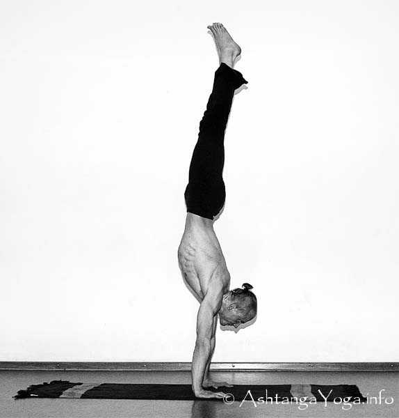 Vrkana - Ashtanga Vinyasa Yoga; scratching on the edge of impossibility - Advanced B Series (Sthira Bhaga). 