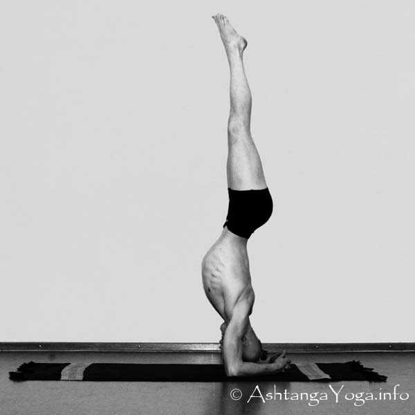 Sirsasana B - The finishing sequence harmonises the energy (Prana) at the end of Ashtanga Vinyasa Yoga Practice.