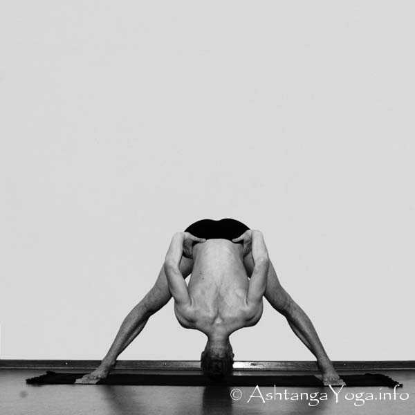 Prasarita Padottanasana B - Six simple Fundametal Asanas (standing positions) build the fundament for Ashtanga Vinyasa Yoga Practice.