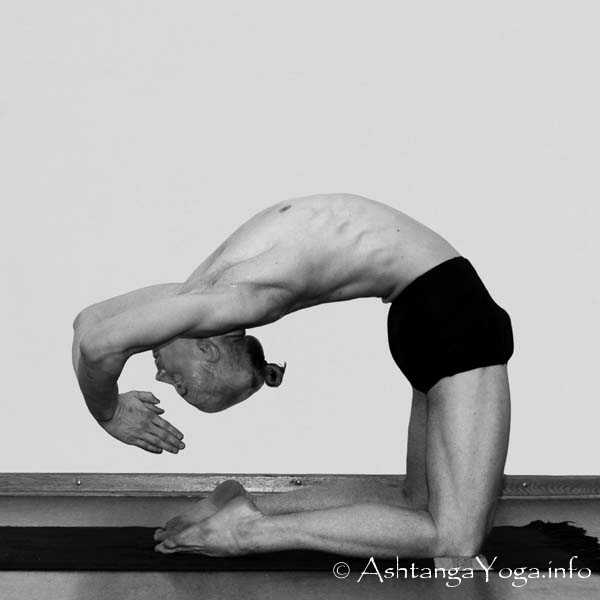 Kapotasana Vinyasa in - Intermediate Series (Nadi Shodana / second serie) brings the Ashtanga Vinyasa Yoga Practice from an physical to an more energetic level. 