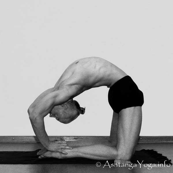 Kapotasana Vinyasa in - Intermediate Series (Nadi Shodana / second serie) brings the Ashtanga Vinyasa Yoga Practice from an physical to an more energetic level. 