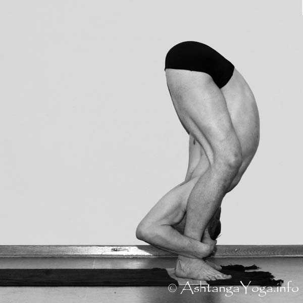 Tittibhasana C - Intermediate Series (Nadi Shodana / second serie) brings the Ashtanga Vinyasa Yoga Practice from an physical to an more energetic level. 