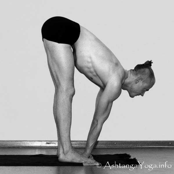 Mayurasana Vinyasa out - Intermediate Series (Nadi Shodana / second serie) brings the Ashtanga Vinyasa Yoga Practice from an physical to an more energetic level. 