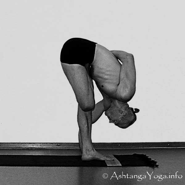 Vatayanasana Vinyasa in - Intermediate Series (Nadi Shodana / second serie) brings the Ashtanga Vinyasa Yoga Practice from an physical to an more energetic level. 