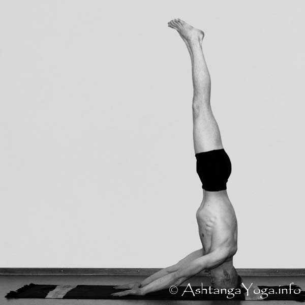 Muka Hasta Sirsasana B - Intermediate Series (Nadi Shodana / second serie) brings the Ashtanga Vinyasa Yoga Practice from an physical to an more energetic level. 