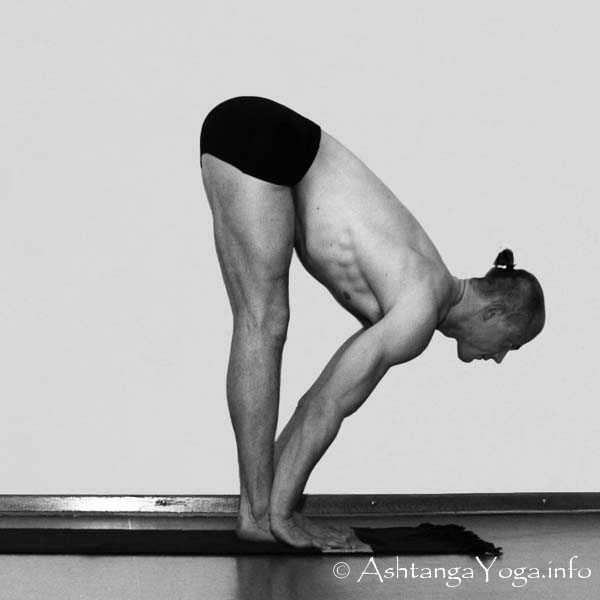 Uttanasana B - The first step in the Ashtanga Vinyasa Yoga Practice is made up by Surya Namskara A (= sun salutation).