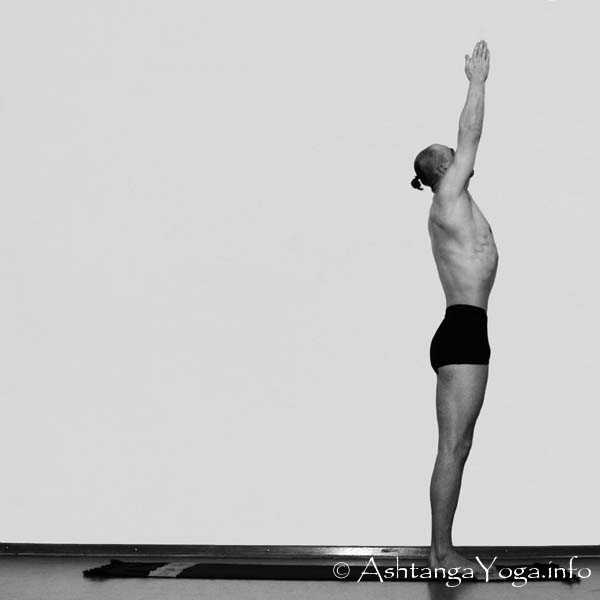 Urdhva Vrikasana - The first step in the Ashtanga Vinyasa Yoga Practice is made up by Surya Namskara A (= sun salutation).