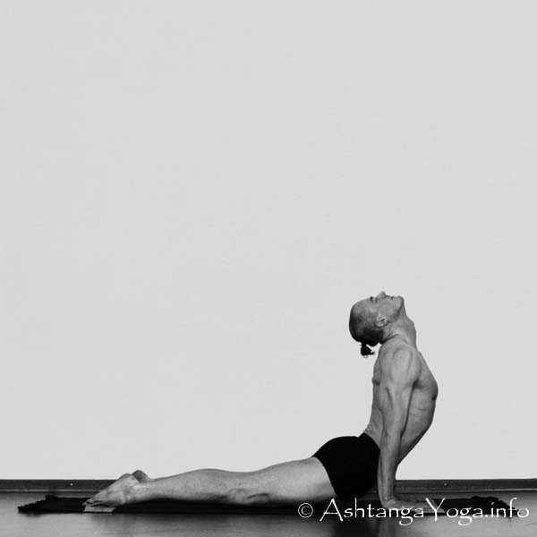 Urdhva Mukah Svanasana - Surya Namaskara B - One of the most beautiful parts in Ashtanga Vinyasa Yoga Practise.