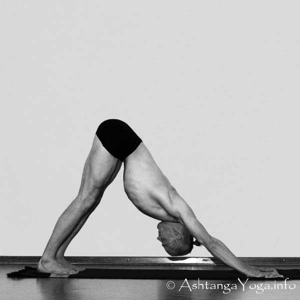 Adho Mukha Svanasana - Surya Namaskara B - One of the most beautiful parts in Ashtanga Vinyasa Yoga Practise.