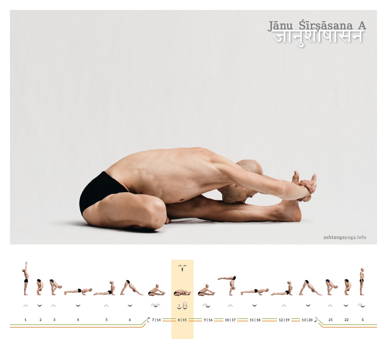 Yoga janu sirsasana head to knee pose flat style Vector Image