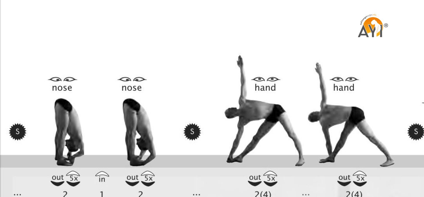 Asthanga Primary Series Chart Download • Tania Kemou Yoga