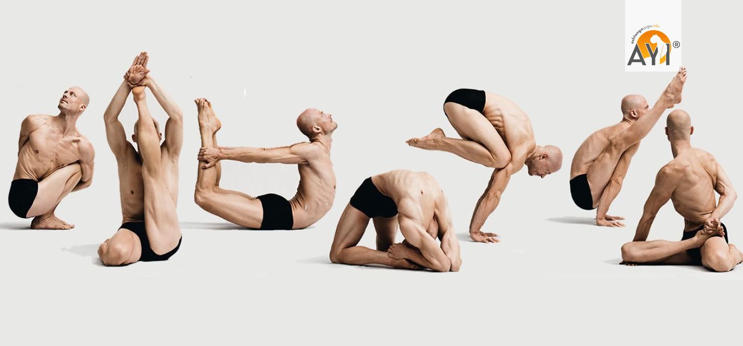 Yoga poses (Asana, poses, postures) and dynamic movement (Vinyasa