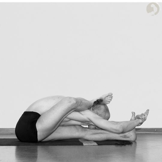 Eka Pada Shirshasana Ashtangayoga Info